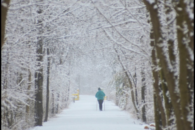 West Bloomfield Trail
